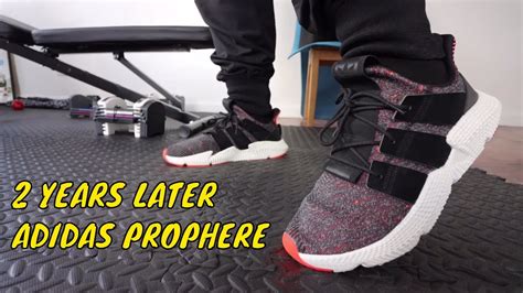 adidas prophere original vs fake|TWO YEARS AFTER: THE ADIDAS PROPHERE (Still Worth .